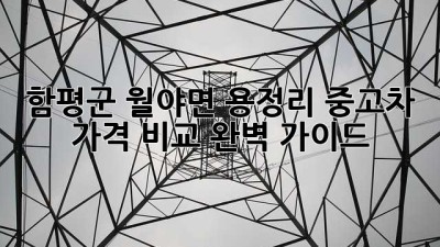 함평군 월야면 용정리 중고차 가격 비교 완벽 가이드