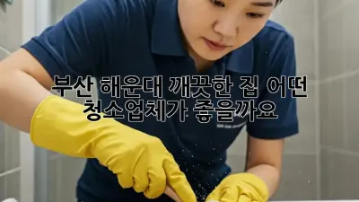 부산 해운대 깨끗한 집, 어떤 청소업체가 좋을까요?
